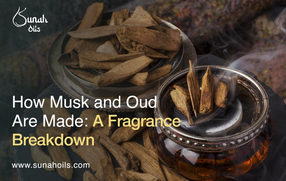 musk-and-oud-are-made-a-fragrance-breakdown